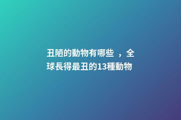 丑陋的動物有哪些，全球長得最丑的13種動物-第1張-觀點(diǎn)-玄機(jī)派